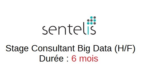sentelis consultant big data